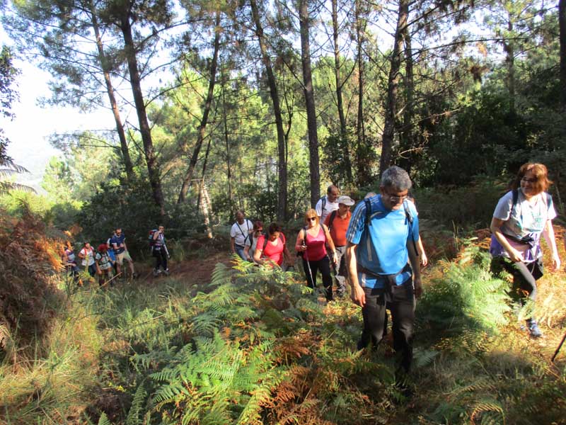 El pasado sábado día 20 de octubre se celebró la segunda salida, en la que los participantes realizaron una ruta de unos 15 km por el Monumento Natural de Pena Corneira.
