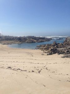 La Asociación de Educación Ambiental y del Consumidor (ADEAC) y la rama española de la Federación Europea de Educación Ambiental (FEE) dieron a conocer esta semana el listado de playas españolas reconocidas con bandera azul para esta temporada estival, entre las que se encuentran los arenales guardeses de Area Grande(marítimo) y O Muíño(fluvial).